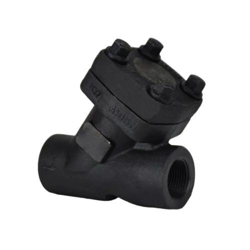 ANSI Forged steel Y-shaped filter