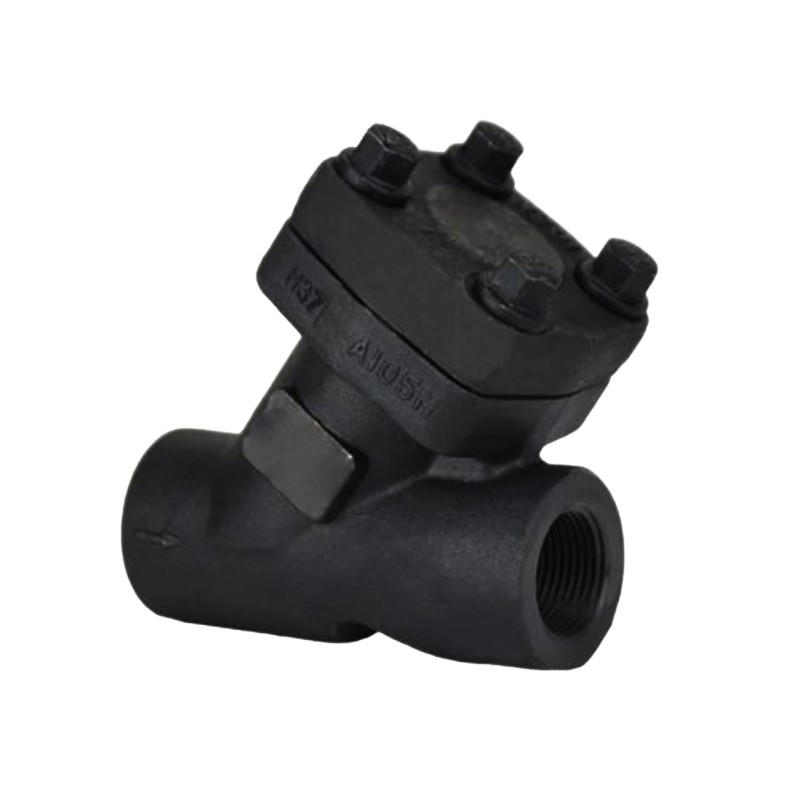 ANSI Forged steel Y-shaped filter