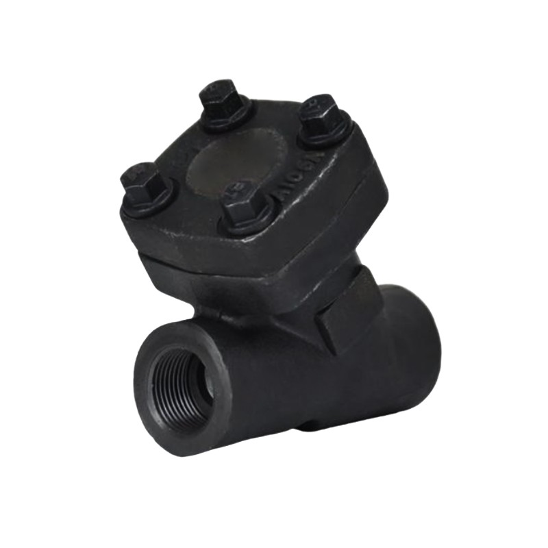 ANSI Forged steel Y-shaped filter