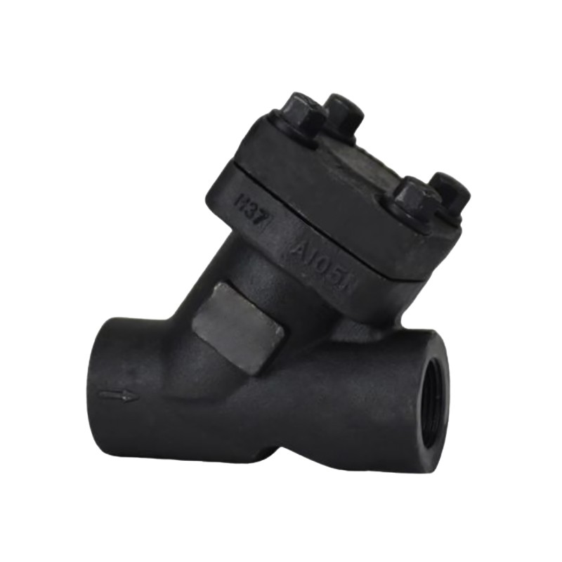 ANSI Forged steel Y-shaped filter