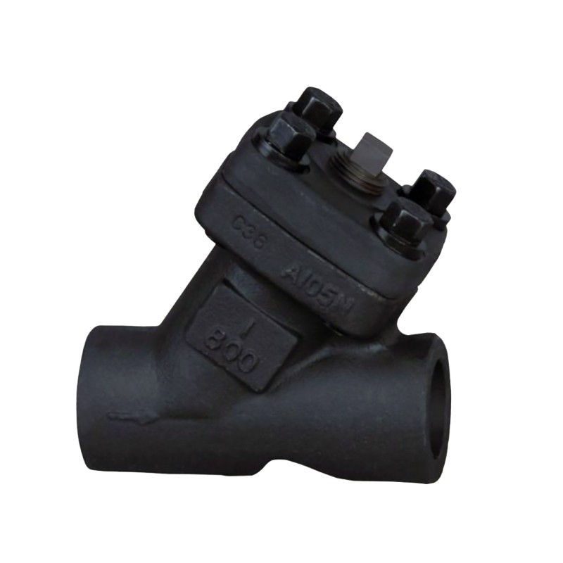 ANSI Forged steel Y-shaped filter