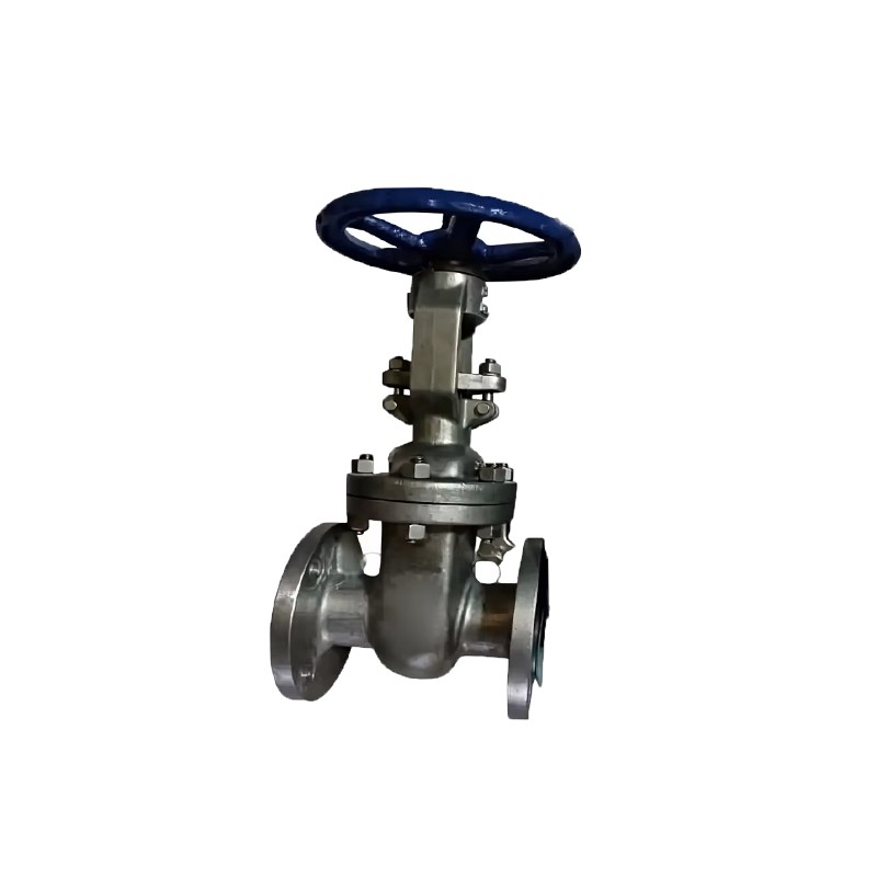 ANSI Hastelloy Gate Valve
