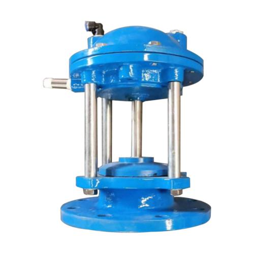 Bottom mud drain valve