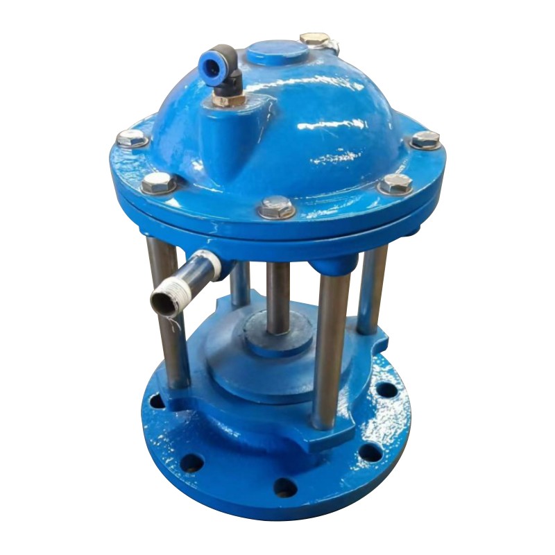 Bottom mud drain valve