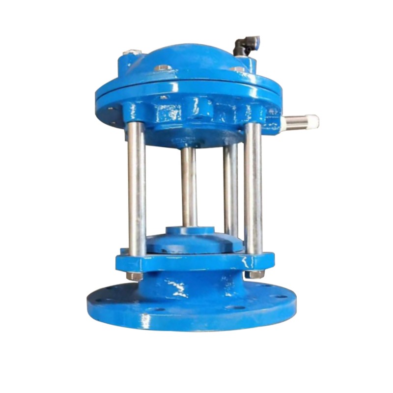 Bottom mud drain valve