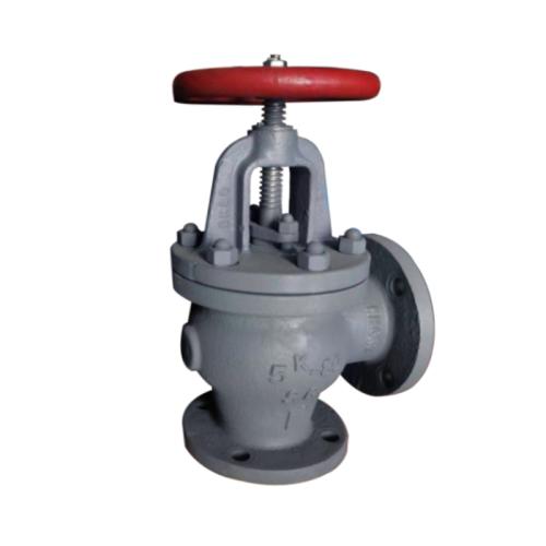 Cast iron angle globe valve
