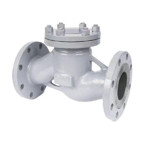 Cast steel lifting check valve