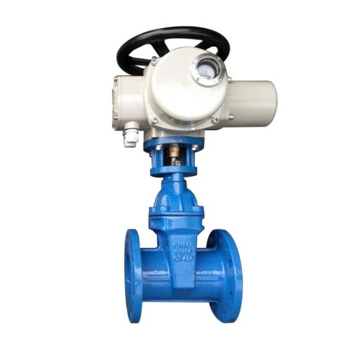 Electric soft seal gate valve