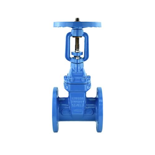 Soft sealed rising stem gate valve