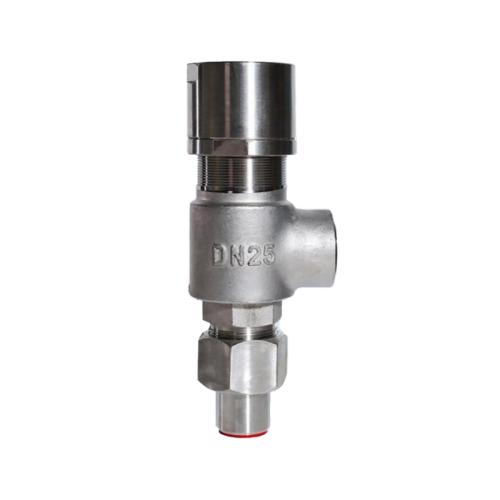 Stainless steel spring micro opening safety valve