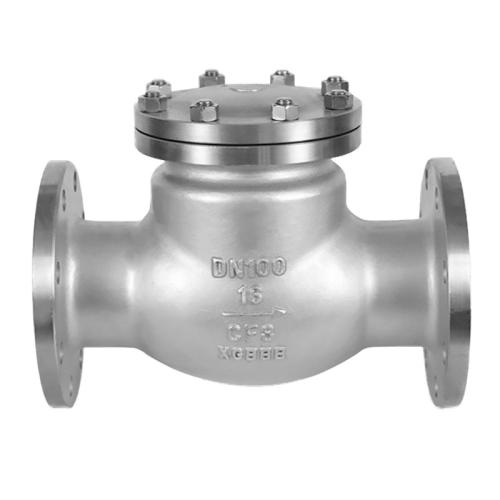 Stainless steel swing check valve