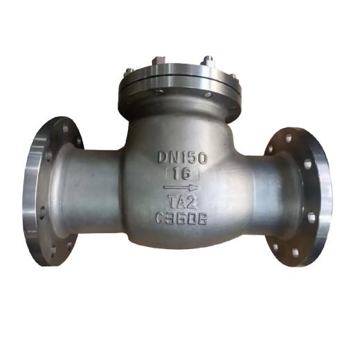 Titanium alloy swing check valve